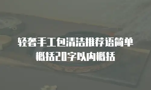 轻奢手工包清洁推荐语简单概括20字以内概括