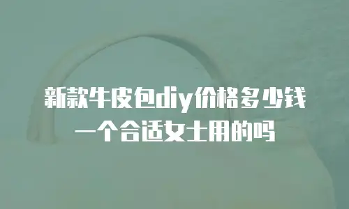 新款牛皮包diy价格多少钱一个合适女士用的吗