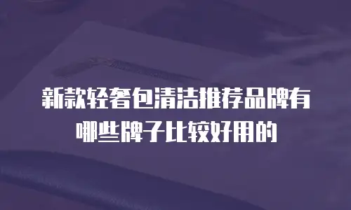 新款轻奢包清洁推荐品牌有哪些牌子比较好用的