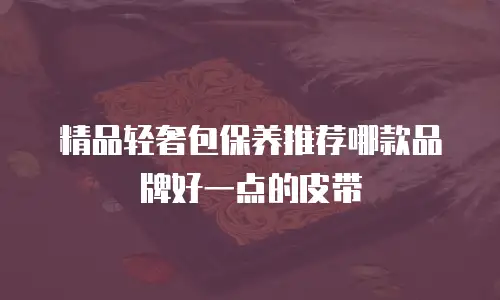 精品轻奢包保养推荐哪款品牌好一点的皮带