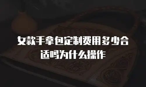 女款手拿包定制费用多少合适吗为什么操作