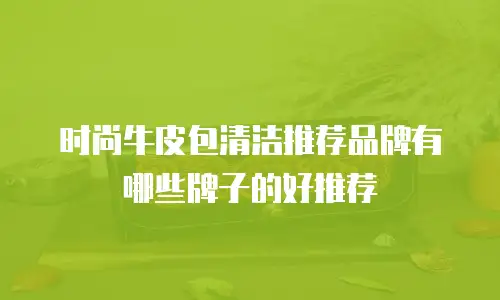 时尚牛皮包清洁推荐品牌有哪些牌子的好推荐