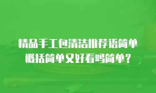精品手工包清洁推荐语简单概括简单又好看吗简单？