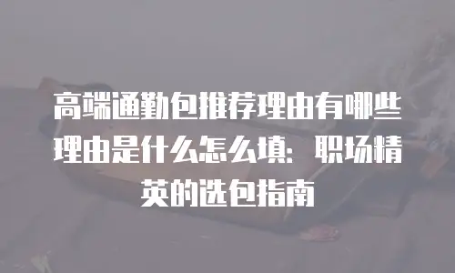 高端通勤包推荐理由有哪些理由是什么怎么填：职场精英的选包指南