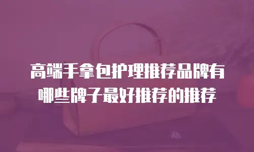 高端手拿包护理推荐品牌有哪些牌子最好推荐的推荐