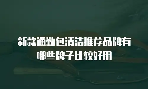 新款通勤包清洁推荐品牌有哪些牌子比较好用