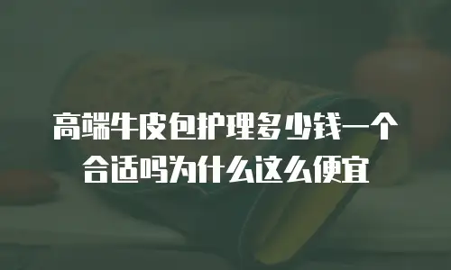 高端牛皮包护理多少钱一个合适吗为什么这么便宜