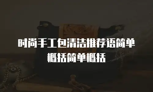 时尚手工包清洁推荐语简单概括简单概括
