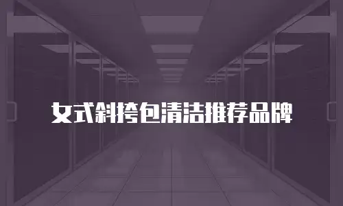 女式斜挎包清洁推荐品牌
