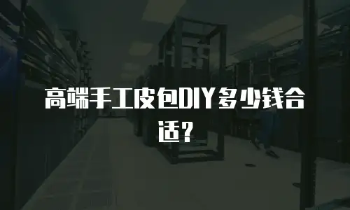 高端手工皮包DIY多少钱合适？