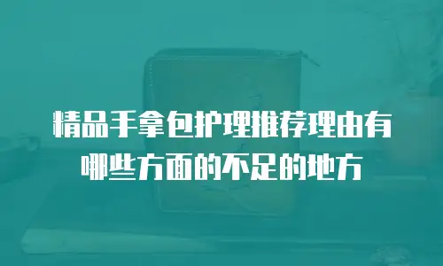 精品手拿包护理推荐理由有哪些方面的不足的地方
