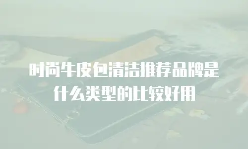 时尚牛皮包清洁推荐品牌是什么类型的比较好用