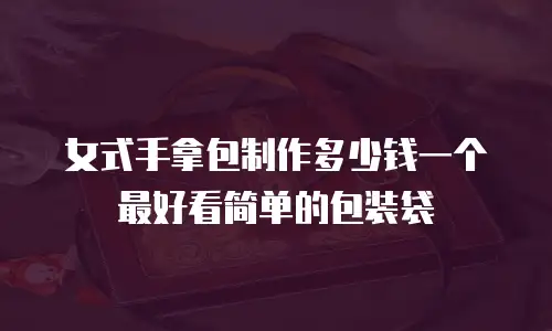 女式手拿包制作多少钱一个最好看简单的包装袋