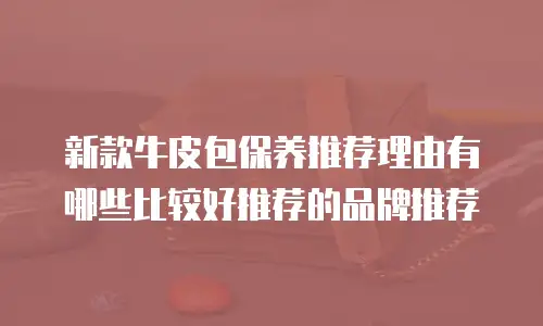 新款牛皮包保养推荐理由有哪些比较好推荐的品牌推荐