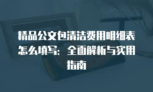 精品公文包清洁费用明细表怎么填写：全面解析与实用指南