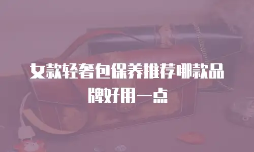 女款轻奢包保养推荐哪款品牌好用一点