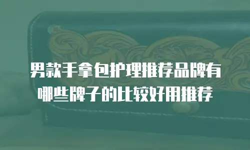 男款手拿包护理推荐品牌有哪些牌子的比较好用推荐