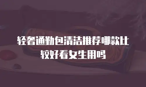 轻奢通勤包清洁推荐哪款比较好看女生用吗