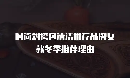 时尚斜挎包清洁推荐品牌女款冬季推荐理由