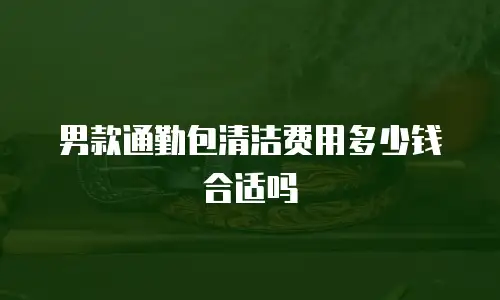 男款通勤包清洁费用多少钱合适吗