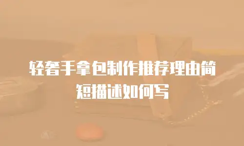 轻奢手拿包制作推荐理由简短描述如何写