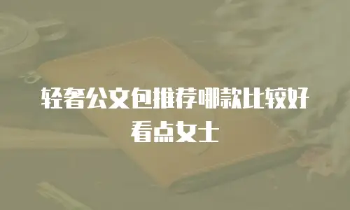 轻奢公文包推荐哪款比较好看点女士
