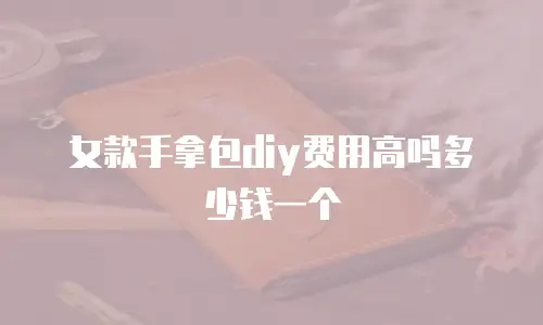 女款手拿包diy费用高吗多少钱一个