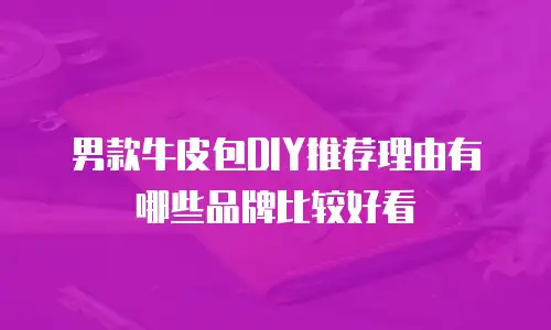 男款牛皮包DIY推荐理由有哪些品牌比较好看