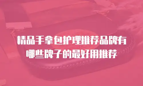 精品手拿包护理推荐品牌有哪些牌子的最好用推荐