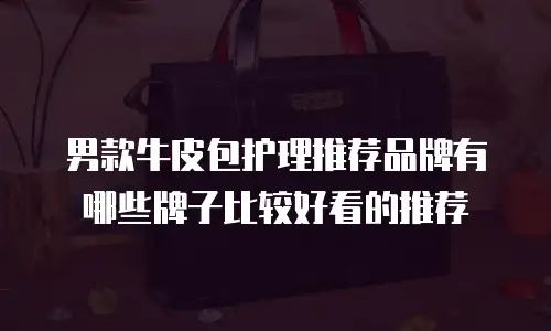 男款牛皮包护理推荐品牌有哪些牌子比较好看的推荐
