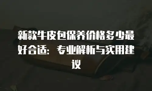 新款牛皮包保养价格多少最好合适：专业解析与实用建议