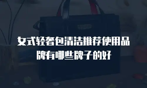 女式轻奢包清洁推荐使用品牌有哪些牌子的好