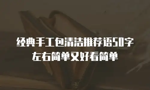 经典手工包清洁推荐语50字左右简单又好看简单