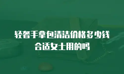 轻奢手拿包清洁价格多少钱合适女士用的吗