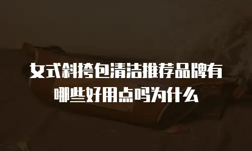 女式斜挎包清洁推荐品牌有哪些好用点吗为什么