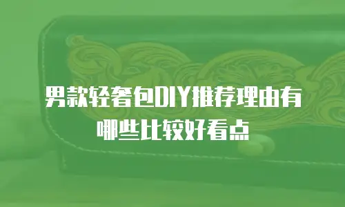 男款轻奢包DIY推荐理由有哪些比较好看点