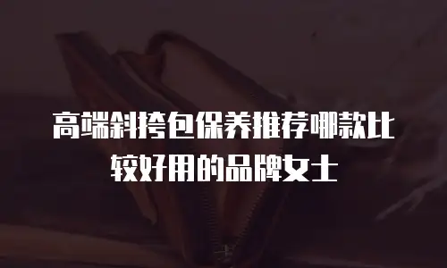 高端斜挎包保养推荐哪款比较好用的品牌女士