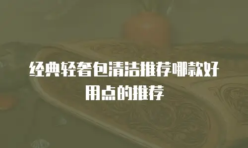 经典轻奢包清洁推荐哪款好用点的推荐