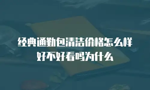 经典通勤包清洁价格怎么样好不好看吗为什么