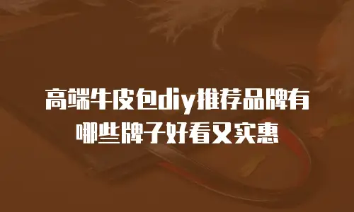 高端牛皮包diy推荐品牌有哪些牌子好看又实惠