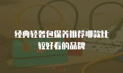 经典轻奢包保养推荐哪款比较好看的品牌