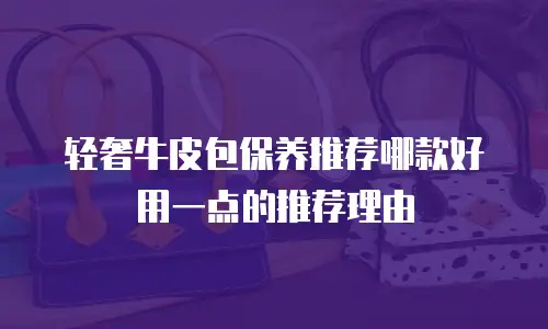 轻奢牛皮包保养推荐哪款好用一点的推荐理由