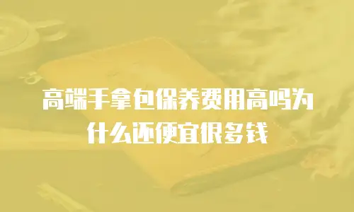 高端手拿包保养费用高吗为什么还便宜很多钱