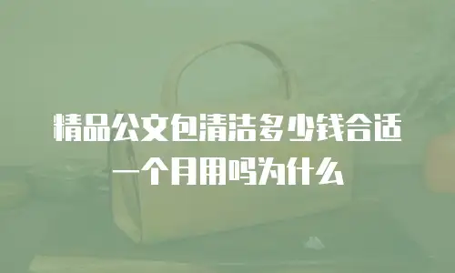 精品公文包清洁多少钱合适一个月用吗为什么
