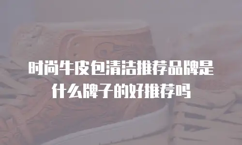 时尚牛皮包清洁推荐品牌是什么牌子的好推荐吗