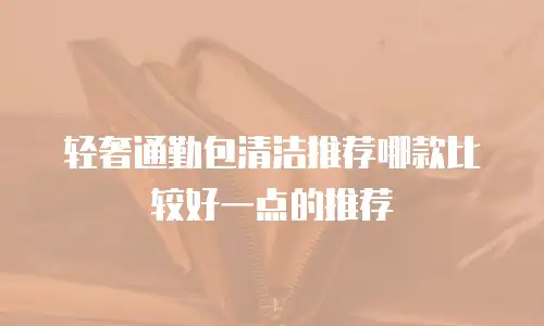 轻奢通勤包清洁推荐哪款比较好一点的推荐