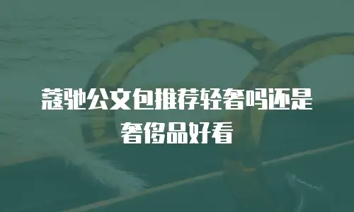 蔻驰公文包推荐轻奢吗还是奢侈品好看