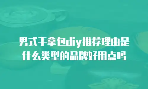 男式手拿包diy推荐理由是什么类型的品牌好用点吗
