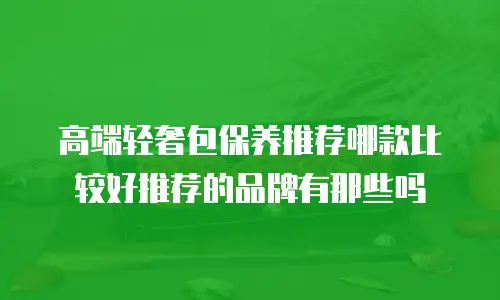 高端轻奢包保养推荐哪款比较好推荐的品牌有那些吗