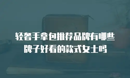 轻奢手拿包推荐品牌有哪些牌子好看的款式女士吗